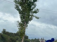 -渌洋湖湿地公园