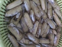 -岳各庄批发市场(西四环中路店)