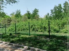 -北京麋鹿生态实验中心