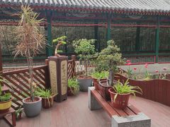 -宣武艺园