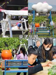 -太湖雪蚕桑文化园