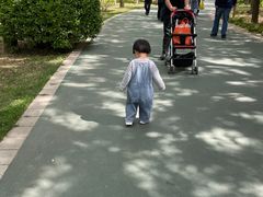-迎泽公园