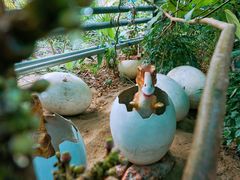 -呀路古热带植物园