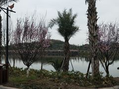 -枫香湖儿童公园