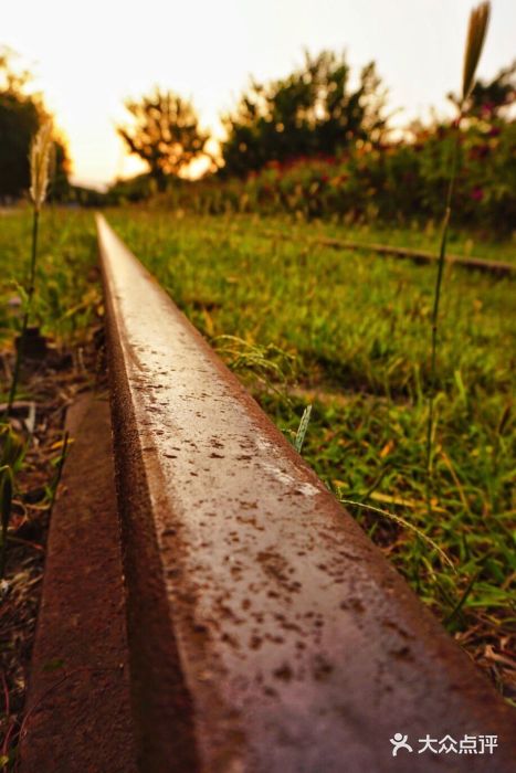 永定河休闲森林公园图片