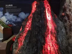 -正佳自然科学博物馆