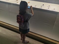 -温州博物馆