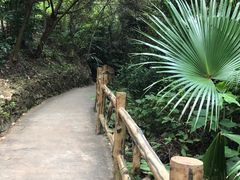-南丹山森林王国