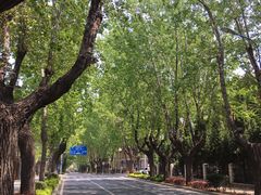 -子霖南山鲜虾面(南山总店)