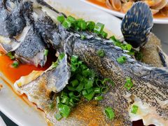 -七鲜渔港美食餐厅(巽寮湾海景店)
