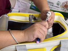 -美联众合动物医院·24h京西诊疗中心