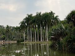 -中国科学院西双版纳热带植物园