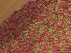 -炖物24章·顺时轻养茶(杭州保利时光里店)