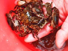 -东戴河风景区-止锚湾