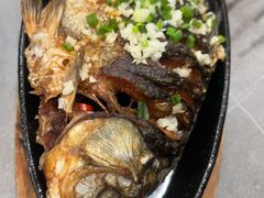 铁板烤鲫鱼-老黑板筋(顺义总店)