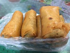 春卷-胡荣泉