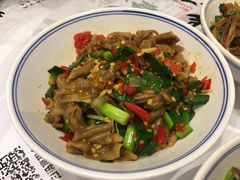鸭掌筋-壹盏灯(惠农店)