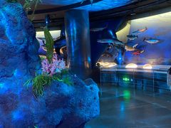 -陕西自然博物馆