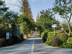 -上海长兴岛郊野公园