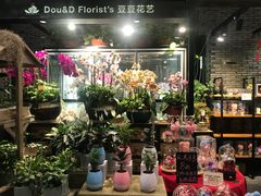 -豆豆花艺(新光天地店)