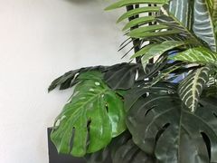 -金孔雀德宏傣味餐馆(魏公村店)