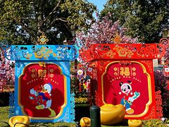 -上海迪士尼度假区