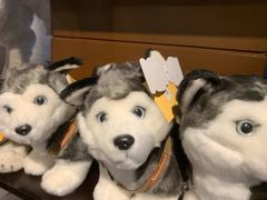 -TrueLove @ Neverland (Husky Cafe)