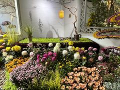 -杭州植物园