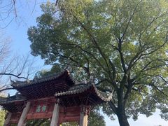 -汇龙潭