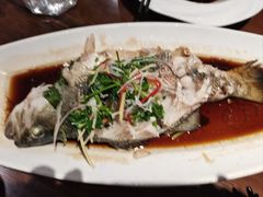 -浦江餐饮•上海菜馆(五四路店)