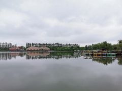 -上海长兴岛郊野公园