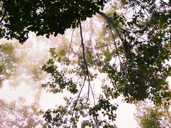 -山湖温泉