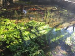 -水磨沟公园