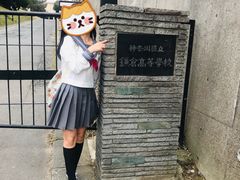 -灌篮高手动画打卡地