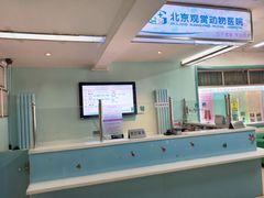 -北京观赏动物医院·24小时大型综合·猫专科·异宠专科