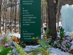 -洛阳白云山景区
