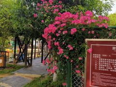 -张公山寨景区
