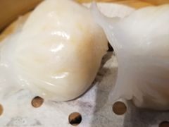 -高第街56号餐厅(凯德mall新都心店)