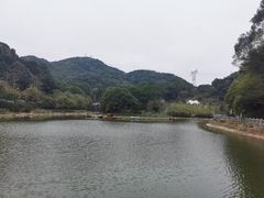 -广州市帽峰山景区