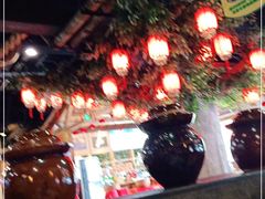 -龙泉人椰子鸡.糟粕醋.海南菜(三亚旗舰店)