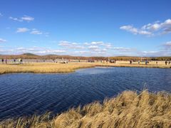 -亿利库布其七星湖沙漠生态旅游区