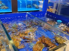 水产区-金时代顺风大酒店(临港百联店)