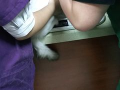 -艾贝尔宠物医院·狂犬免疫点(江山金象城店)