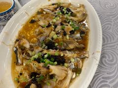 榄角天椒蒸鱼头-粤·向群饭店(龙津东路总店)