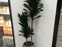 -W·24H茶楼·棋牌·掼蛋(望京店)