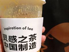多肉芒芒甘露MAX-喜茶(北京三里屯太古里店)