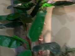-极乐汇汗蒸会馆(杭州店)