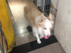 -豆舞咖啡(民乐路店)