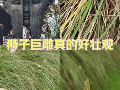 -白鹭湾湿地公园