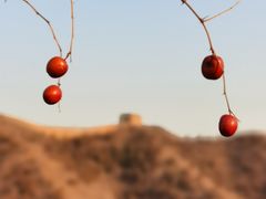 -蟠龙山长城景区